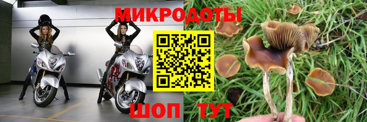 Галлюциногенные грибы мухоморы  Вход с VPN  как найти закладки  Гусев 